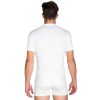 jokers-2135-back-white